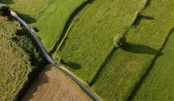 Greenify-About-Hero-Image-2048x1077